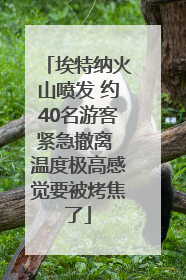 埃特纳火山喷发 约40名游客紧急撤离 温度极高感觉要被烤焦了