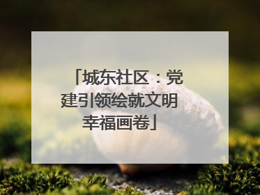 城东社区：党建引领绘就文明幸福画卷