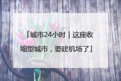 城市24小时｜这座收缩型城市，要建机场了