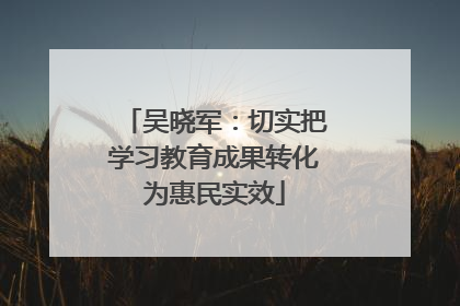 吴晓军：切实把学习教育成果转化为惠民实效