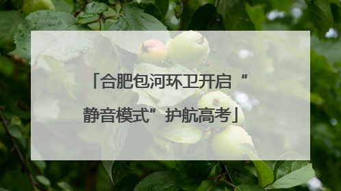 合肥包河环卫开启“静音模式”护航高考