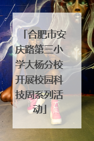 合肥市安庆路第三小学大杨分校开展校园科技周系列活动