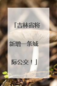吉林省将新增一条城际公交！