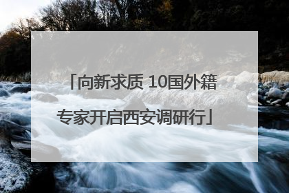 向新求质 10国外籍专家开启西安调研行