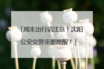 周末出行请注意！沈阳公安交警重要提醒！