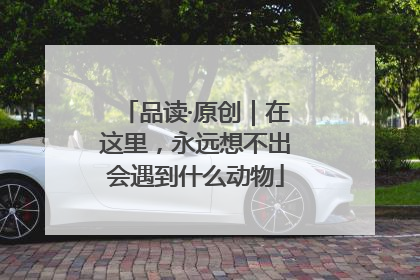 品读·原创｜在这里，永远想不出会遇到什么动物