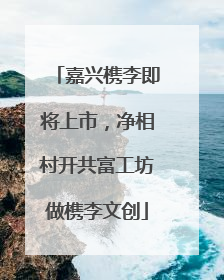 嘉兴槜李即将上市，净相村开共富工坊做槜李文创