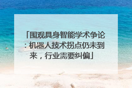 围观具身智能学术争论：机器人技术拐点仍未到来，行业需要纠偏