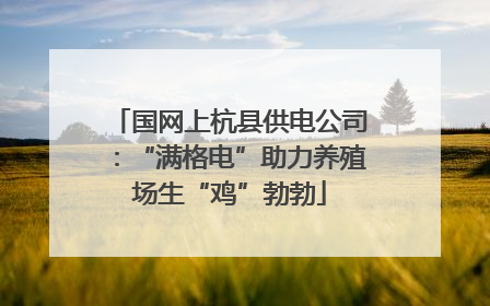 国网上杭县供电公司：“满格电”助力养殖场生“鸡”勃勃