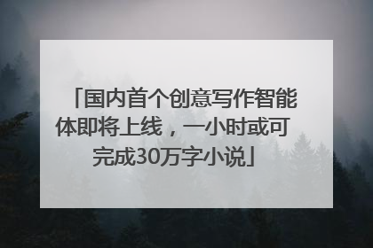国内首个创意写作智能体即将上线，一小时或可完成30万字小说