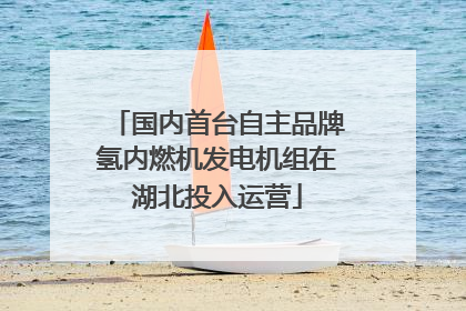 国内首台自主品牌氢内燃机发电机组在湖北投入运营