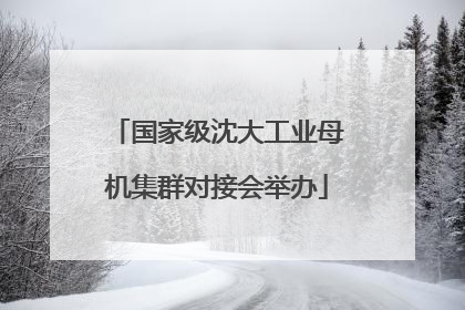 国家级沈大工业母机集群对接会举办