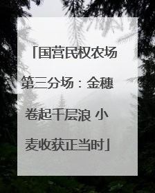 国营民权农场第三分场：金穗卷起千层浪 小麦收获正当时