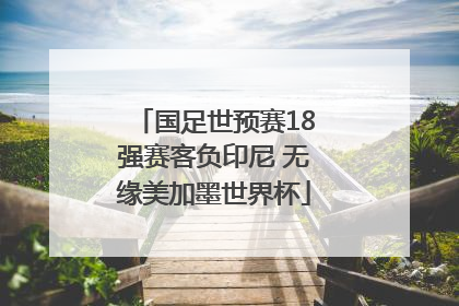 国足世预赛18强赛客负印尼 无缘美加墨世界杯