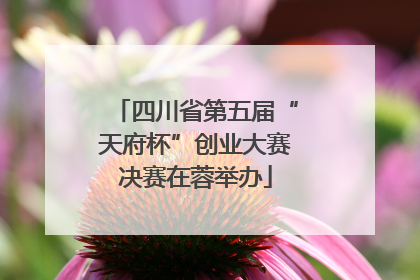 四川省第五届“天府杯”创业大赛决赛在蓉举办