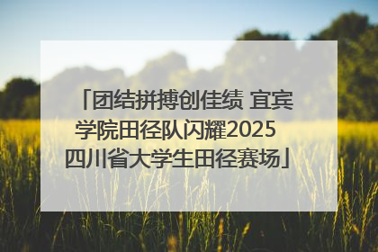 团结拼搏创佳绩 宜宾学院田径队闪耀2025四川省大学生田径赛场