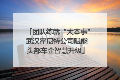 团队练就“大本事” 武汉霍尼特公司赋能头部车企智慧升级