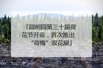 圆明园第三十届荷花节开幕，首次推出“荷梅”双花展
