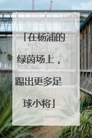 在杨浦的绿茵场上，踢出更多足球小将