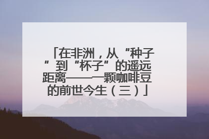 在非洲，从“种子”到“杯子”的遥远距离——一颗咖啡豆的前世今生（三）