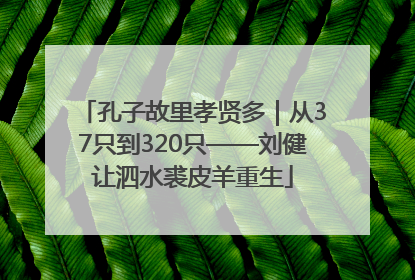 孔子故里孝贤多｜从37只到320只——刘健让泗水裘皮羊重生