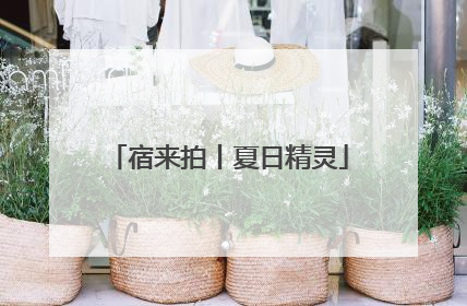 宿来拍丨夏日精灵
