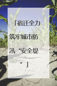 宿迁全力筑牢城市防汛“安全堤”