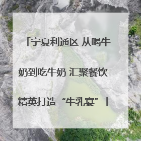 宁夏利通区 从喝牛奶到吃牛奶 汇聚餐饮精英打造“牛乳宴”