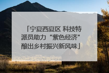 宁夏西夏区 科技特派员助力“紫色经济”酿出乡村振兴新风味