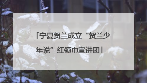 宁夏贺兰成立“贺兰少年说”红领巾宣讲团