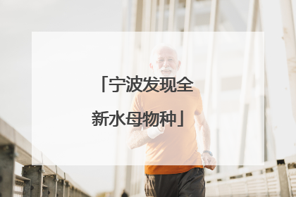 宁波发现全新水母物种