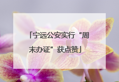宁远公安实行“周末办证”获点赞