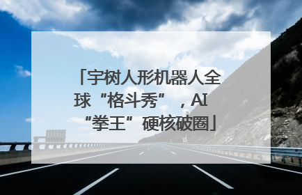 宇树人形机器人全球“格斗秀”，AI“拳王”硬核破圈