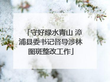 守好绿水青山 漳浦县委书记督导涉林图斑整改工作