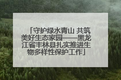 守护绿水青山 共筑美好生态家园——黑龙江省丰林县扎实推进生物多样性保护工作