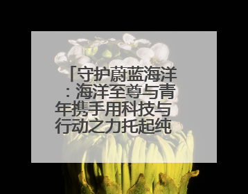 守护蔚蓝海洋：海洋至尊与青年携手用科技与行动之力托起纯净未来