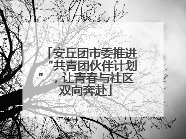 安丘团市委推进“共青团伙伴计划”，让青春与社区双向奔赴