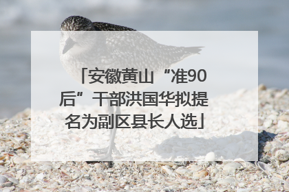 安徽黄山“准90后”干部洪国华拟提名为副区县长人选