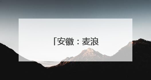 安徽：麦浪飘香收获忙