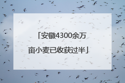 安徽4300余万亩小麦已收获过半