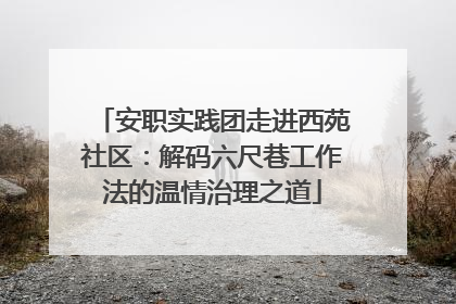 安职实践团走进西苑社区：解码六尺巷工作法的温情治理之道
