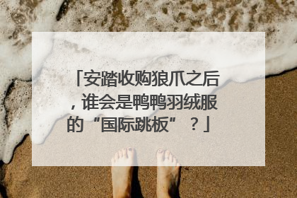 安踏收购狼爪之后，谁会是鸭鸭羽绒服的“国际跳板”？