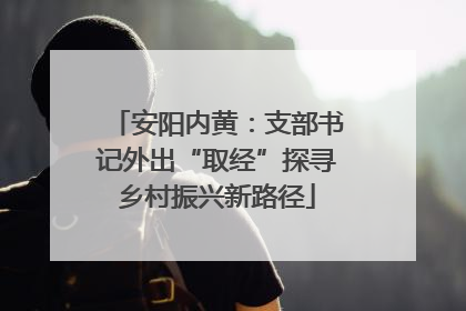 安阳内黄：支部书记外出“取经”探寻乡村振兴新路径
