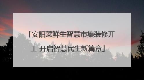 安阳菜鲜生智慧市集装修开工 开启智慧民生新篇章