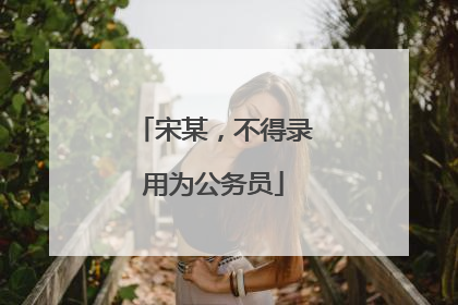 宋某，不得录用为公务员