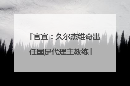 官宣：久尔杰维奇出任国足代理主教练