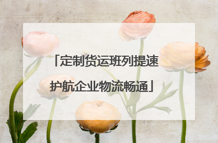 定制货运班列提速 护航企业物流畅通