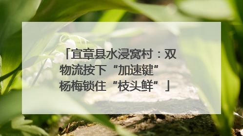 宜章县水浸窝村：双物流按下“加速键” 杨梅锁住“枝头鲜”