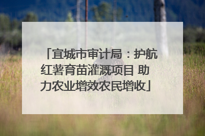 宜城市审计局：护航红薯育苗灌溉项目 助力农业增效农民增收
