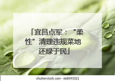 宜昌点军：“柔性”清理违规菜地 还绿于民